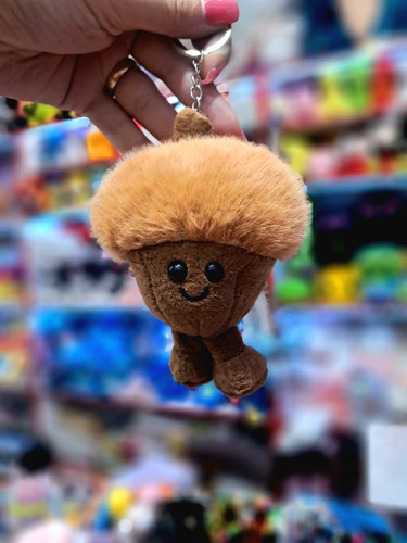 جاکلیدی پولیشی بلوط